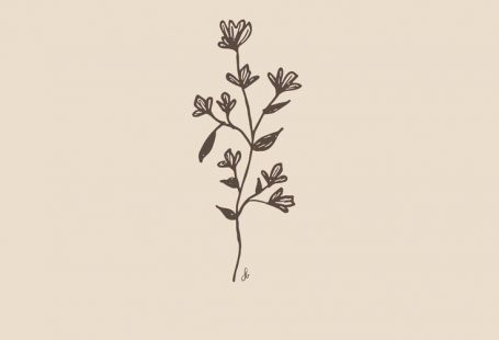 Mit Anmut blühen   #Blossom #grace