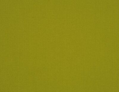 RM Coco Escapade Fabric Color: Palm