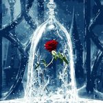 Red Rose Diy Paint By Numbers Kits WM-095