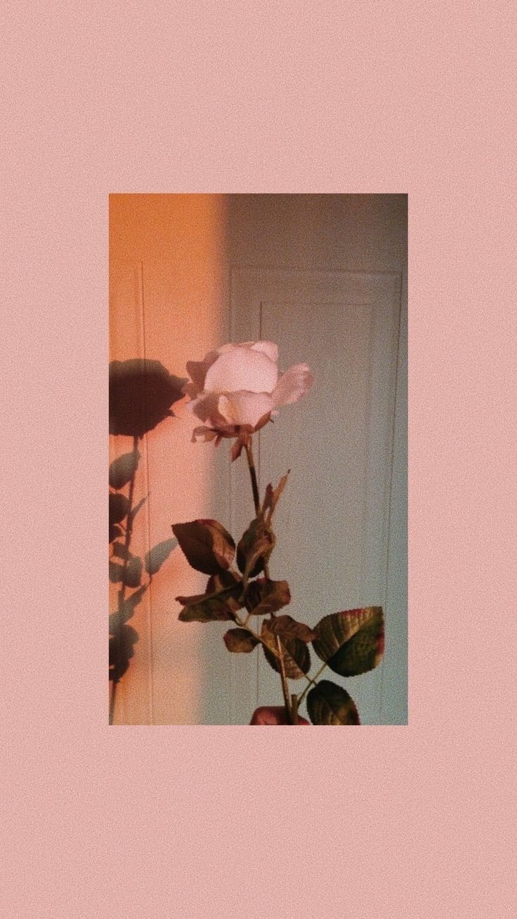 , #aestheticwallpaperiphone , #wallpaperiphone , #aestheticwallpaperiphone ,