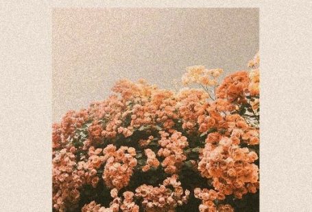 -   - #cathouse #gatosaesthetic #Gatosanime #gatoscats #Gatosdibujos