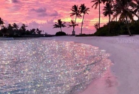 𝐜𝐚𝐫𝐨𝐥 catradora AU📌 on Twitter: