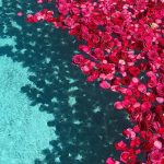 21 Deko Ideen für Poolpartys für Ihre Gartenhochzeit #gartenhochzeit #ideen #poolpartys