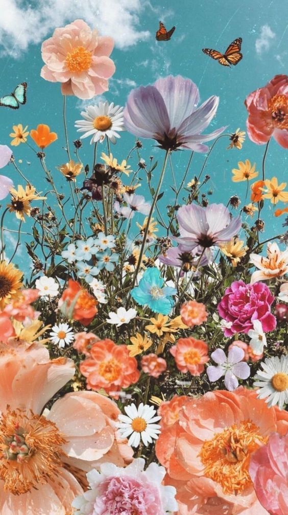 29 Summer iPhone Wallpaper Ideas to Obsess over  #WallpaperIdeas