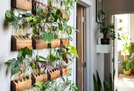 Verticaal tuinieren met reageerbuisjes