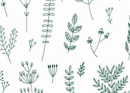 39+ Trendy Plants Wallpaper Pattern Inspiration #plants