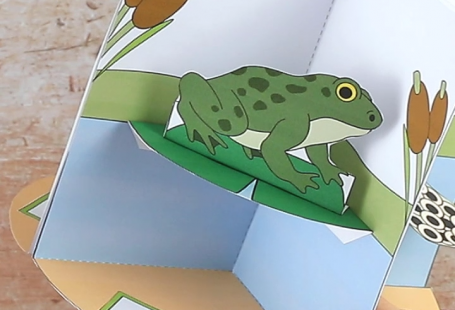 Print out our 3D Frog Life Cycle Craft diorama template and make a fun interactive display.