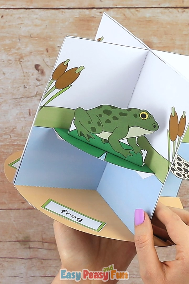 Print out our 3D Frog Life Cycle Craft diorama template and make a fun interactive display.