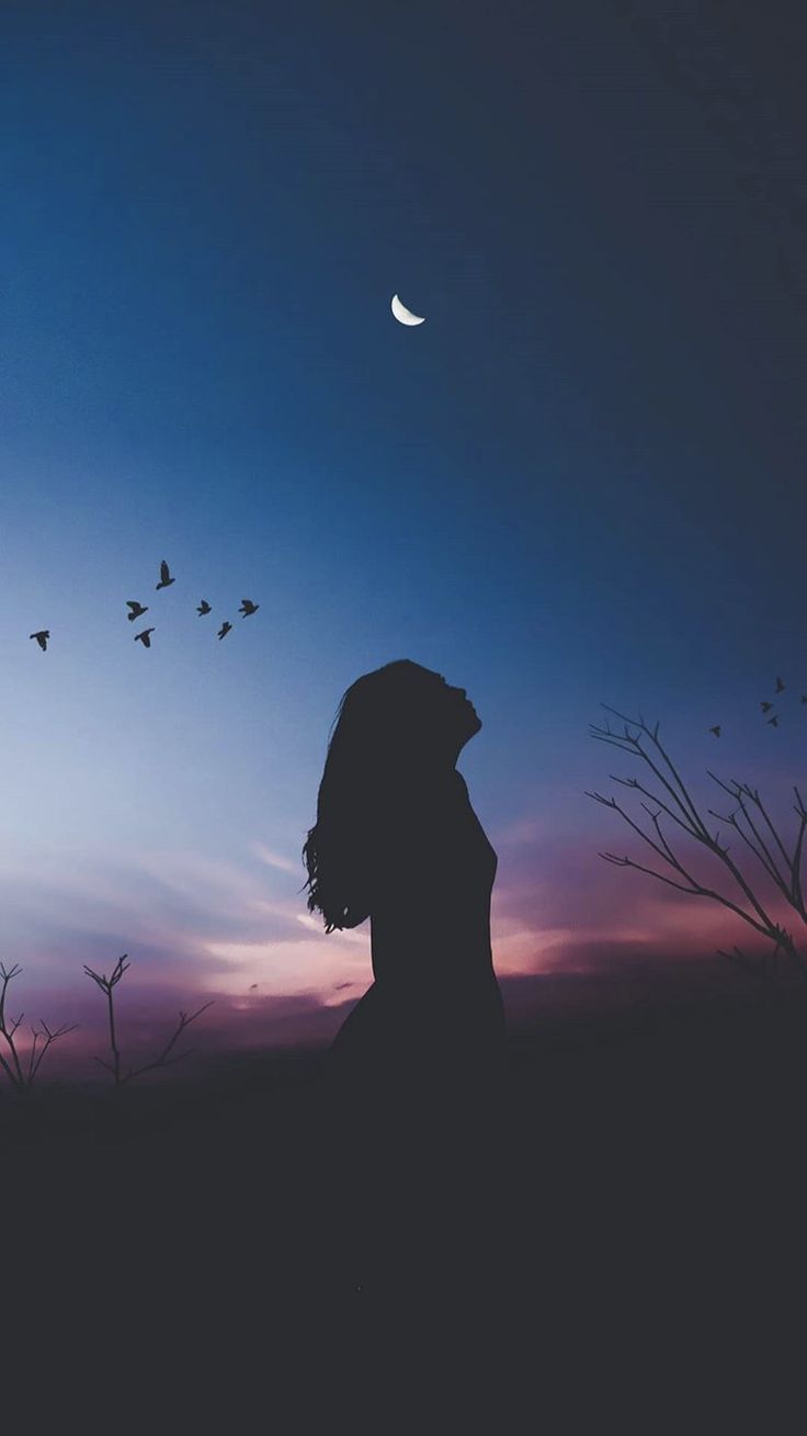 Night silhouette