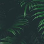 5 Awesome iPhone 8 or iPhone X Wallpapers