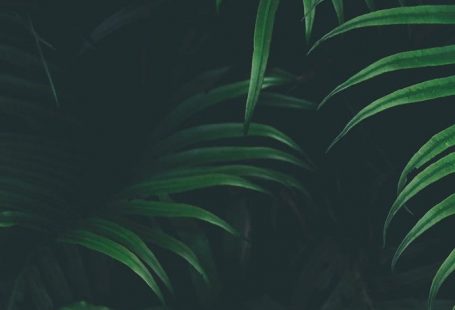 5 Awesome iPhone 8 or iPhone X Wallpapers