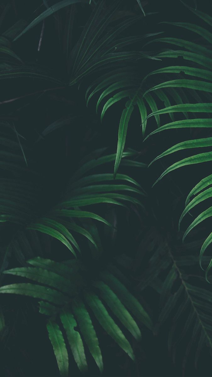 5 Awesome iPhone 8 or iPhone X Wallpapers | 3