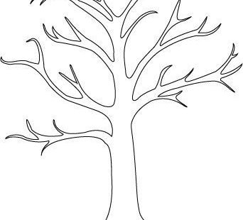 51a8ccb3c947d543424292ca9f04462b.jpg 342×371 pixels