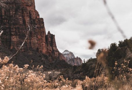 A Guide to Holiday Hiking in Zion National Park