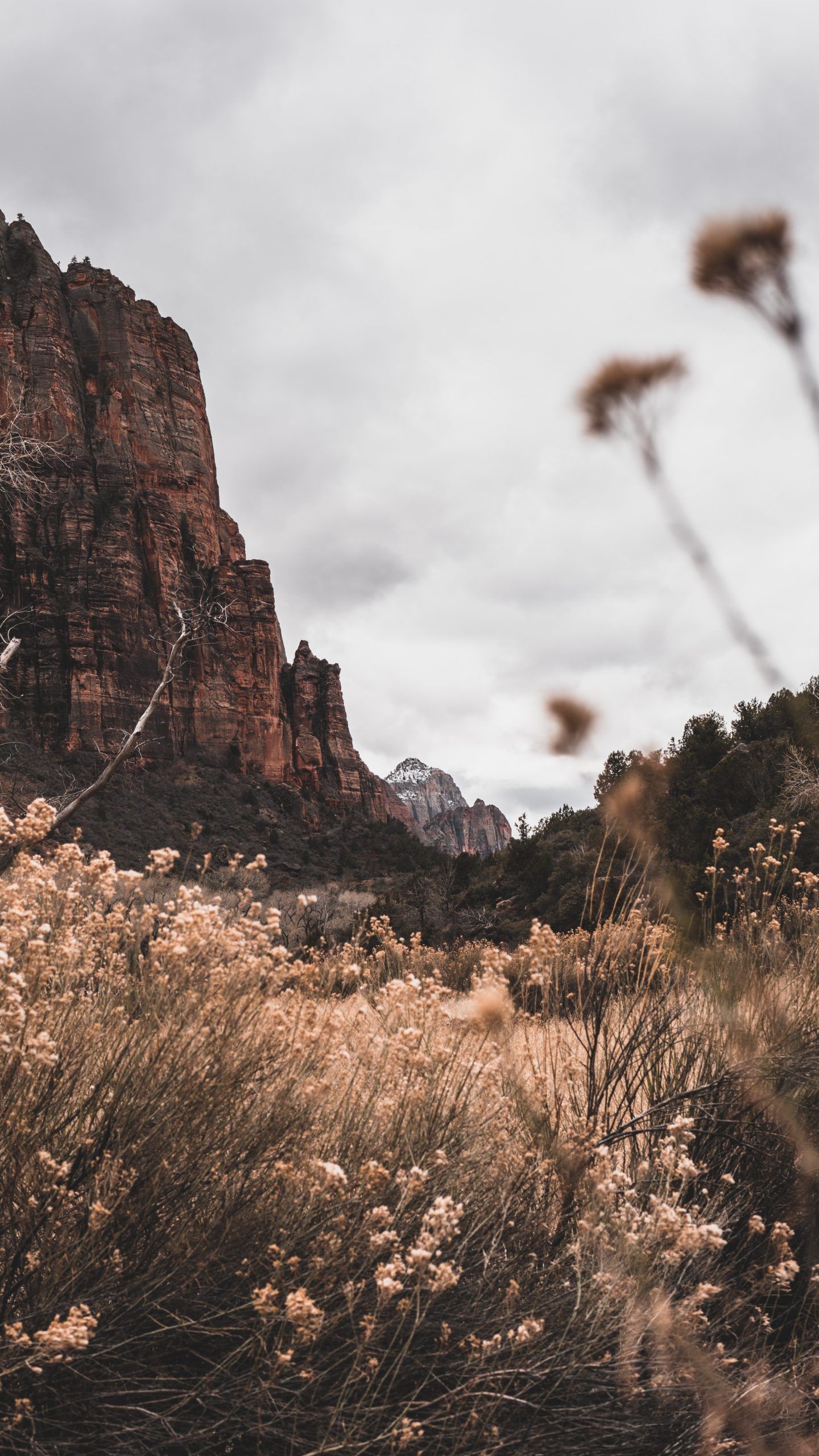 A Guide to Holiday Hiking in Zion National Park