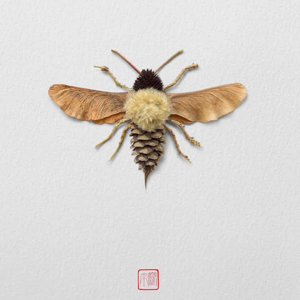 An illustration by artist Raku Inoue who uses garden waste including sticks, seeds and petals, to create his Natura Insects series.