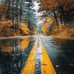 Autumn Road Rainfall Trees Android Wallpaper #nature #wallpaperideas #road
