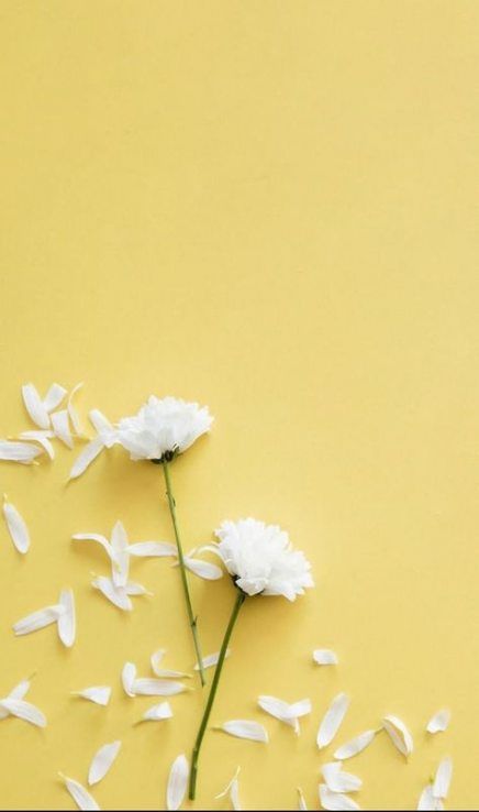 Best flowers tumblr background pastel ideas #flowers