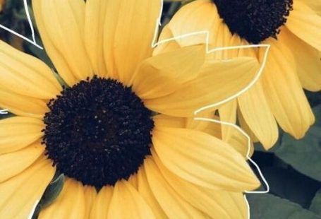 Bild 👍 #Fotografie #Foto #Bild - #Bild # ... - #fondecran -