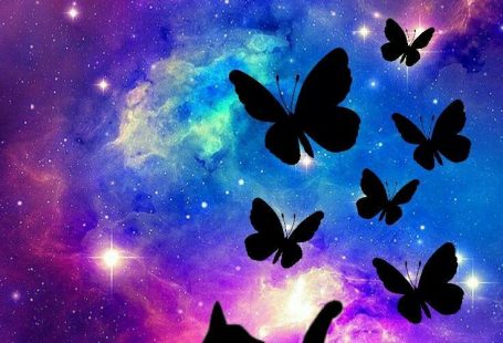Cat Galaxy With Butterfly