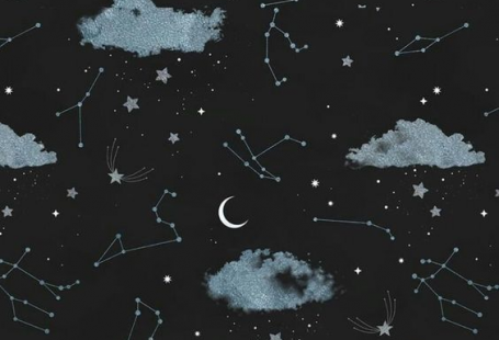 Phone Wallpaperwallpapers databasefree Phone Wallpaper
