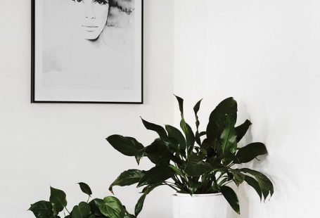 De leukste alternatieven voor de standaard bloempot - Roomed