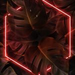 Tropical neon lights red frame phone screen wallpaper