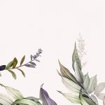 Tropical botanical leaves background vector