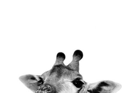 Goofy Giraffe Poster in de groep Posters / Insecten en dieren bij Desenio AB (2572)