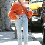 Hailey Baldwin Wearing an Affordable Free People Sweater