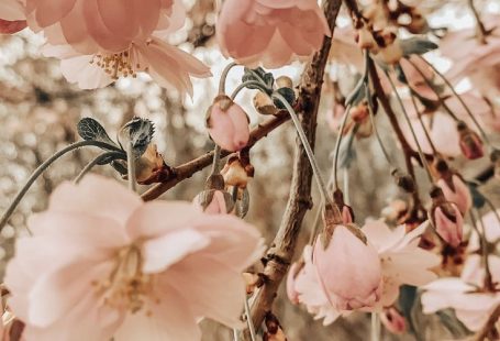 Hintergründe, Hintergründe - LIKE - #Background # Backgrounds #noti ...,  #Background #backgrounds #Hintergründe