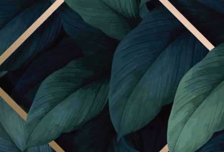 #Iphone livewallpaperswid...   walp.  736 X 1308 w... - #fondos #Iphone #livewal...