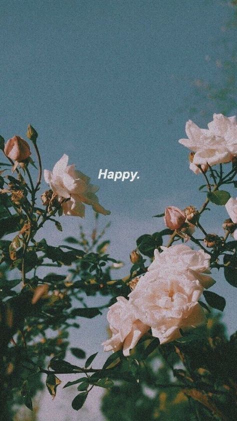 Photography wallpaper iphone inspiration phone backgrounds 34+ super ideas