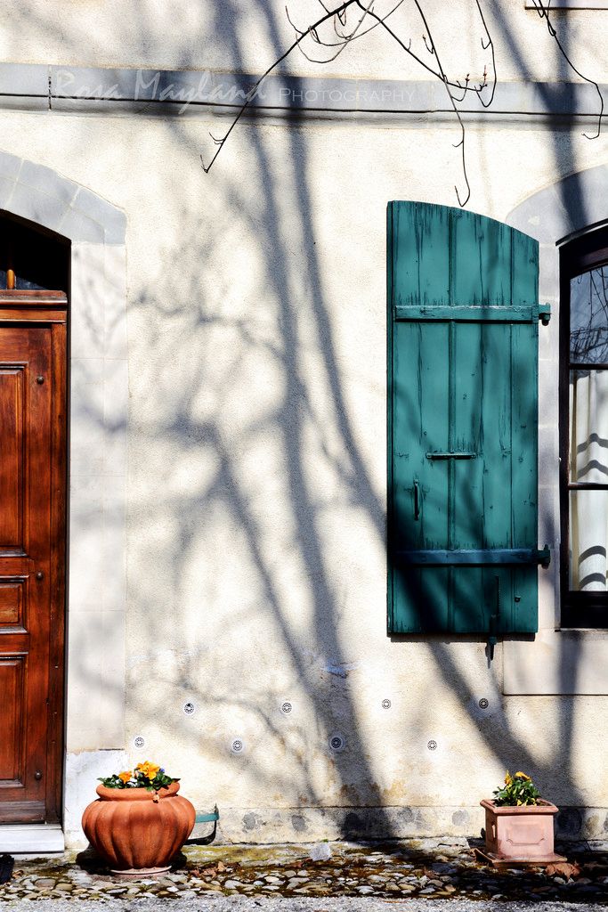 Rosa's Yummy Yums: A PHOTOGRAPHIC ESSAY - COUNTRYSIDE SIGHTINGS: VANDOEUVRES & COLOGNY IN MARCH