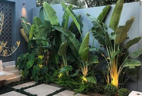 Tropical vibes 🌴🌱 . . #ard#bettergardenbiggerlife #cityscaper Install @mahonygroup