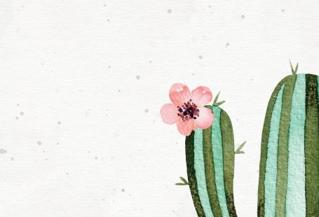 Set of 3 watercolor cactus print Cactus art print Gallery