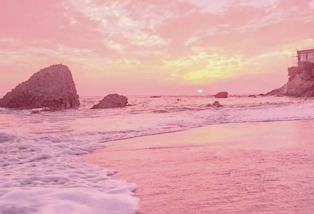 pink aesthetic sunsets sun sunrise sunset set tumblr aesthetic sky cloud clouds beautiful colorful purple orange red yelow nature natural ocean skylovers road street streetview summer sea beach palm trees travel roadtrip trip wallpaper screensaver background