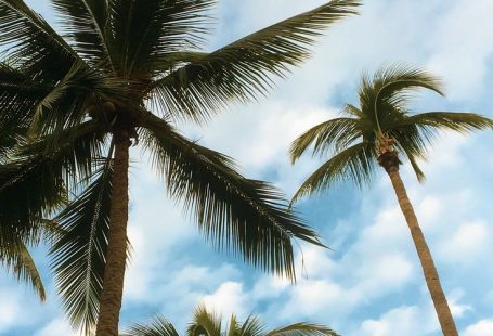 Amazing images for your WIX website design