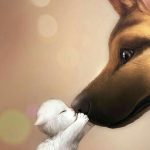 Tiere #Hintergrundbilder The post Tiere appeared first on Hintergrundbilder. - Hintergrund Tiere - #appeared #Hintergrund #Hintergrundbilder-#appeared