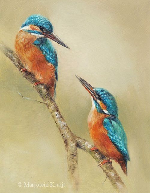 'Ijsvogels', 20x26 cm, olieverf (verkocht)