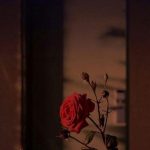 Wallpapers for iPhone and Android. Black themes! Click the link below for Tech N  Wallpapers for iPhone and Android. Black themes! Click the link below for Tech News n Gadget Updates.  So dekorieren Sie Ihr Zuhause Effektiv mit Tapeten  Auf dem Weg nach draußen befinden sich einzelne tapezierte Wände. Was verwenden Sie also wenn Sie tapezieren möchten aber nicht den gesamten Raum abdecken möchten? Hier finden Sie eine unterhaltsame kostengünstige und zeitgemäße Methode zum Aktualisieren Ihres Dekorschemas. Paneelstücke sind einzelne Tapetenstre