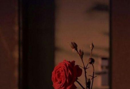 Wallpapers for iPhone and Android. Black themes! Click the link below for Tech N  Wallpapers for iPhone and Android. Black themes! Click the link below for Tech News n Gadget Updates.  So dekorieren Sie Ihr Zuhause Effektiv mit Tapeten  Auf dem Weg nach draußen befinden sich einzelne tapezierte Wände. Was verwenden Sie also wenn Sie tapezieren möchten aber nicht den gesamten Raum abdecken möchten? Hier finden Sie eine unterhaltsame kostengünstige und zeitgemäße Methode zum Aktualisieren Ihres Dekorschemas. Paneelstücke sind einzelne Tapetenstre