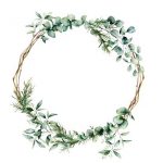 Watercolor eucalyptus branch wreath. Hand painted eucalyptus branch and leaves isolated on white background. Floral illustration for design, print, fabric or background