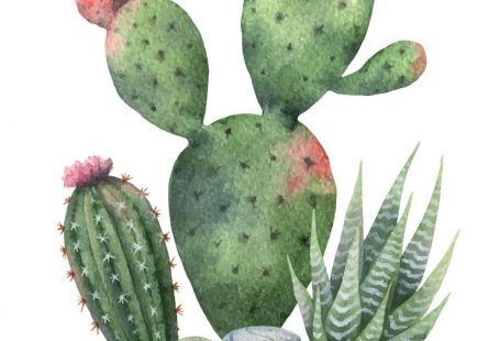 Watercolor vector collection of cacti and succulents plants isolated on white background. Flower illustration for your projects, greeting cards and invitations. Download a Free Preview or High Quality Adobe Illustrator Ai, EPS, PDF and High Resolution JPEG versions.
