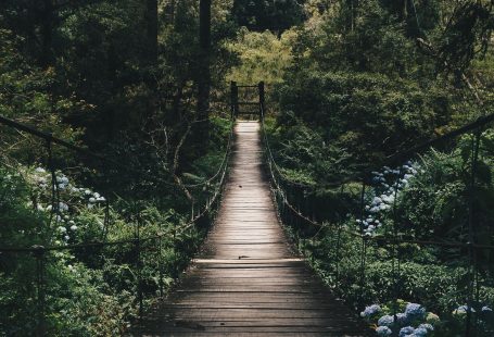 Es gibt viele Meditationsarten. Um auf den Zen-Weg zu gelangen, ist es nicht zwingend notwendig, in ein Zen-Kloster zu gehen  #meditation #entspannung #relaxen