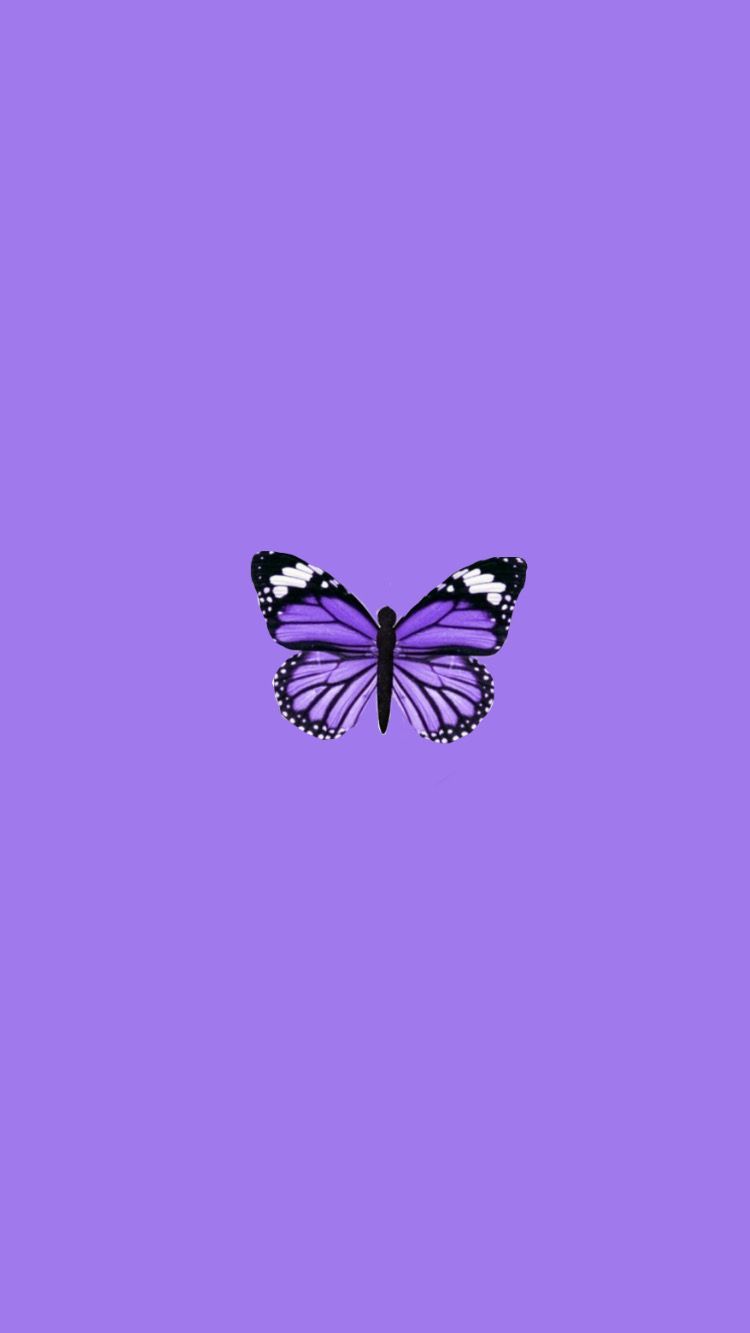 #butterfly #cutewallapaper #trendy #iphonebackground - #butterfly 