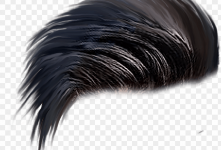 free PNG hair  for picsart PNG image with transparent background PNG images transparent