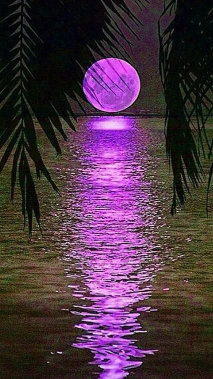 Μωβ violet lila Purple