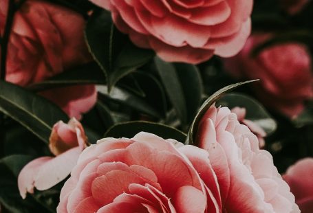 Лучшие top красивые обои для iPhone  wallpapers background retina ios