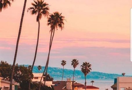 #summer #summerstyle #iphone #iphonewallpaper #background
